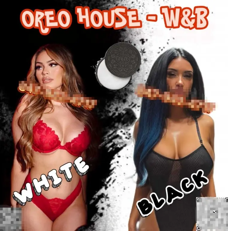 4.webp